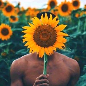 THANK YOU FOR YOUR SUPPORT SUNFLOWERS 🌻